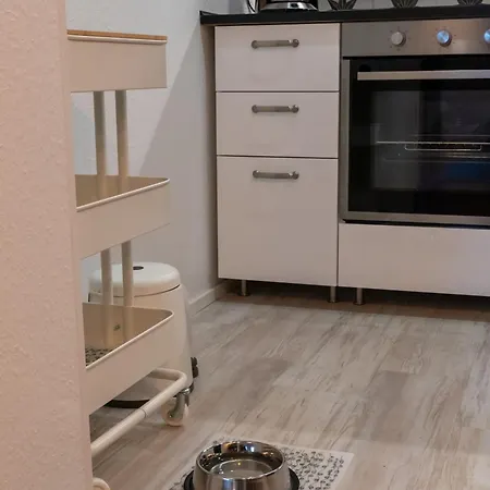 Harzer Wiesenberg, Bis Zu 2 Hunde Willkommen!