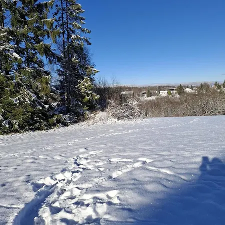Harzer Wiesenberg, Bis Zu 2 Hunde Willkommen! 아파트 *