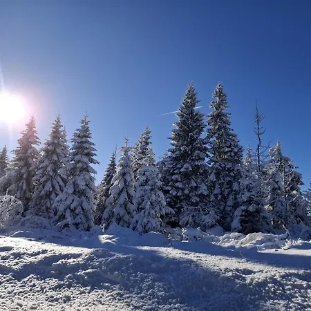 Apartman Harzer Wiesenberg, Bis Zu 2 Hunde Willkommen! *