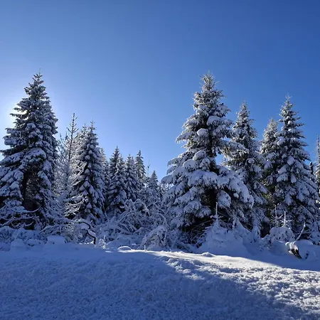 Apartman Harzer Wiesenberg, Bis Zu 2 Hunde Willkommen! Schulenberg im Oberharz