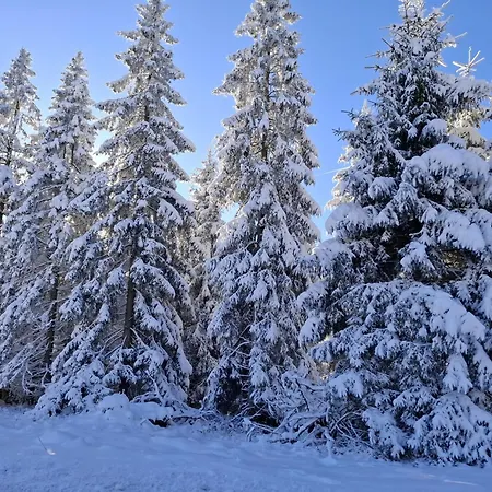Harzer Wiesenberg, Bis Zu 2 Hunde Willkommen! Schulenberg im Oberharz