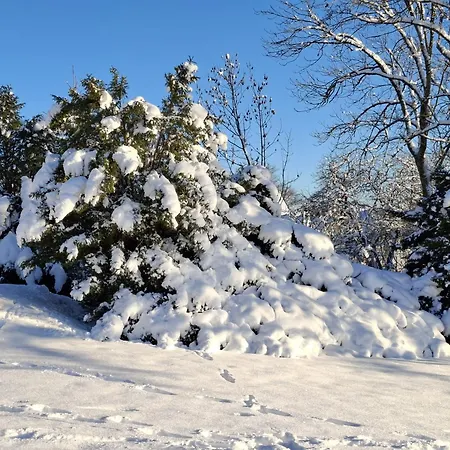 Harzer Wiesenberg, Bis Zu 2 Hunde Willkommen! Apartman *
