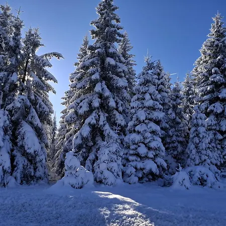 아파트 Harzer Wiesenberg, Bis Zu 2 Hunde Willkommen!