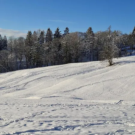 Harzer Wiesenberg, Bis Zu 2 Hunde Willkommen! 아파트 슐렌베르크임오베르하츠