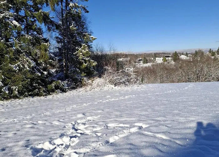 Harzer Wiesenberg, Bis Zu 2 Hunde Willkommen! Апартаменты *