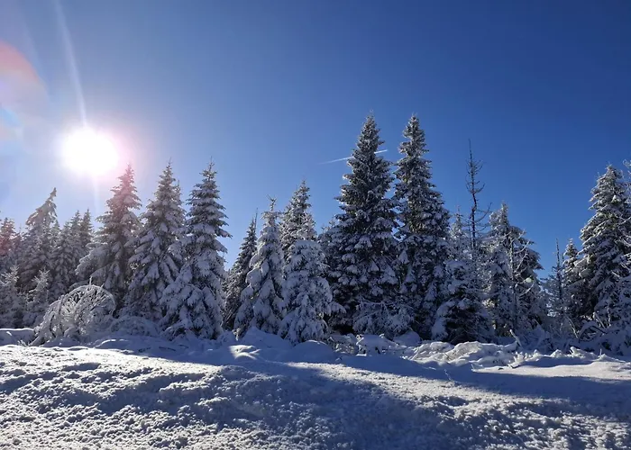 Апартаменты Harzer Wiesenberg, Bis Zu 2 Hunde Willkommen! *