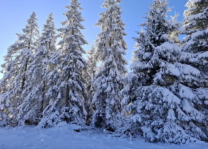 Harzer Wiesenberg, Bis Zu 2 Hunde Willkommen! Шуленберг-им-Оберхарц