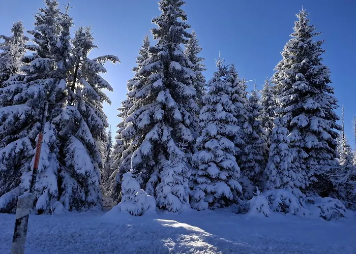 Апартаменты Harzer Wiesenberg, Bis Zu 2 Hunde Willkommen!