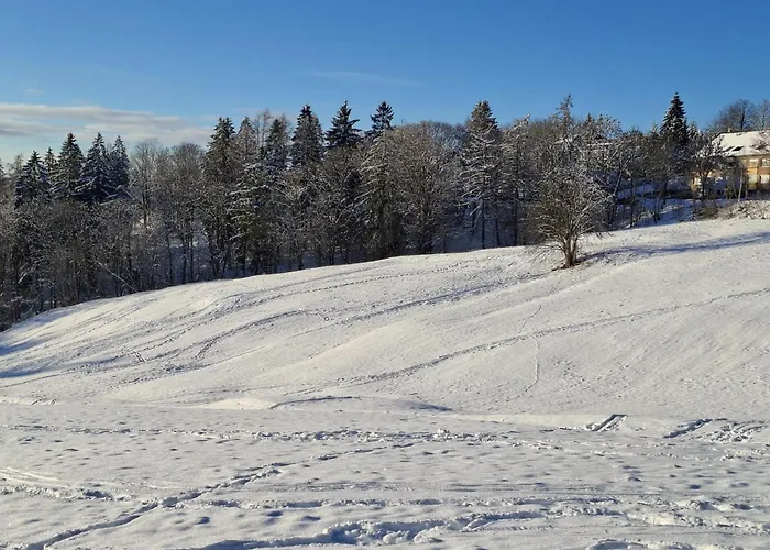 Harzer Wiesenberg, Bis Zu 2 Hunde Willkommen! Апартаменты Шуленберг-им-Оберхарц